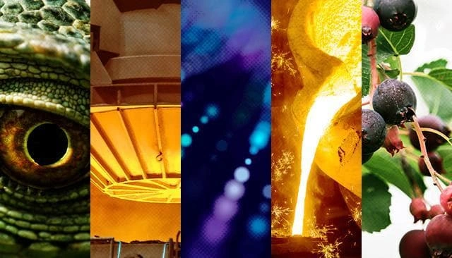 AI and Open Source Software Contribution