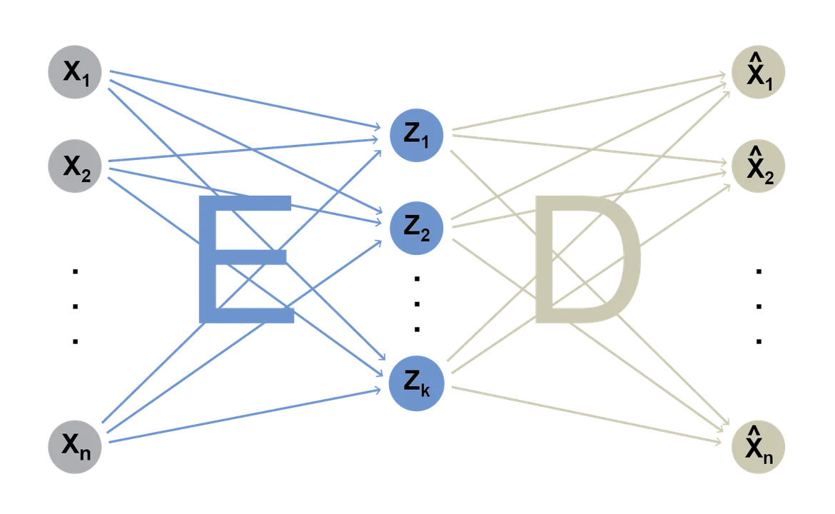 Schematic illustration of an autoencoder.
