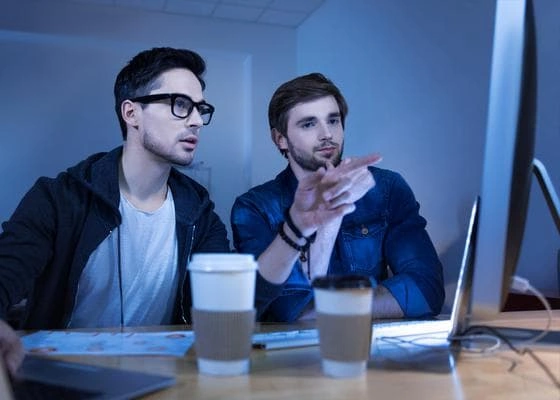 Automating Vulnerability Discovery in Critical Applications