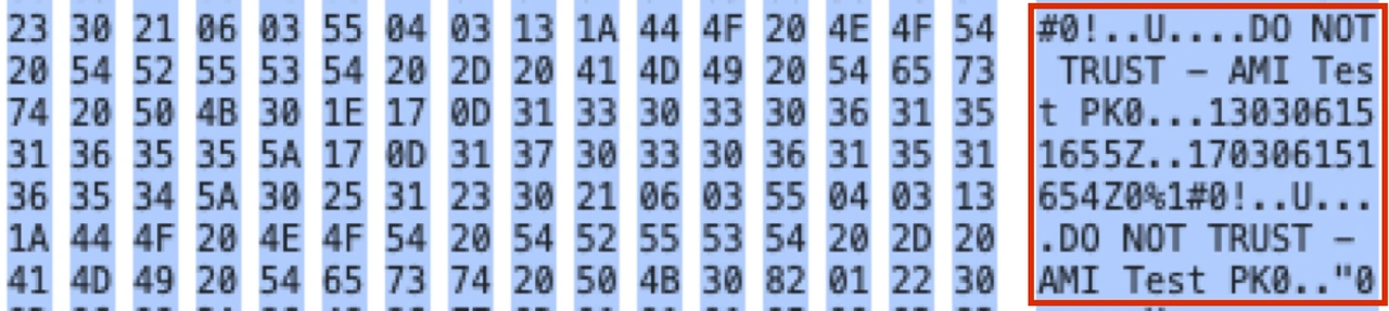 Figure 3 A closeup of the hex dump in CERT UEFI Parser GUI mode.