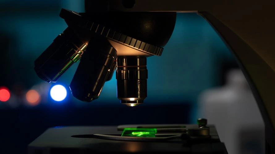 Reverse Engineering for Malware Analysis Topic Page | Looking Ahead