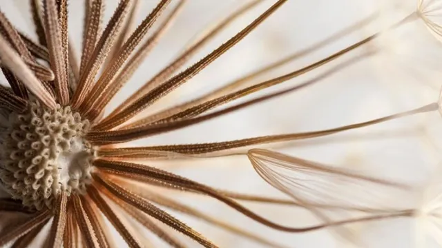 2023 SEI Research Review Cultivates Curiosity