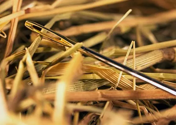 Close-up of a needle in a haystack.